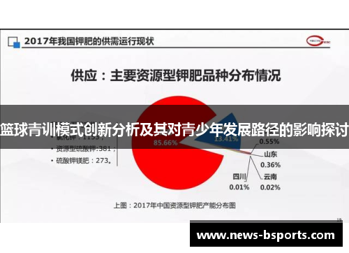 篮球青训模式创新分析及其对青少年发展路径的影响探讨