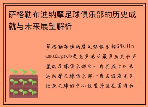 萨格勒布迪纳摩足球俱乐部的历史成就与未来展望解析