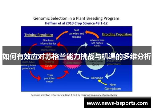 如何有效应对苏格兰能力挑战与机遇的多维分析